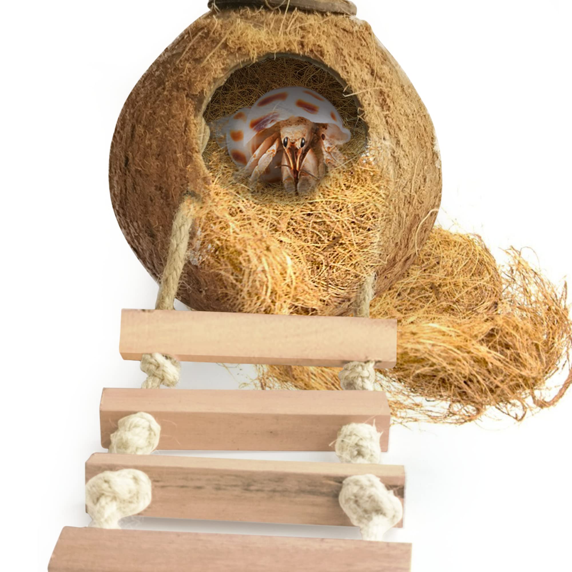 SunGrow Hermit Crab Coconut Hut with Ladder and Bedding, Perfect Mansion for Geckos, Pocket Pets, Small Birds, and Hermit Crabs, 1.5 oz. Bedding Included for Amazing Value