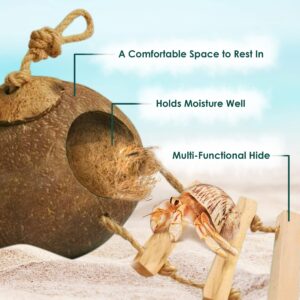 SunGrow Hermit Crab Coconut Hut with Ladder and Bedding, Perfect Mansion for Geckos, Pocket Pets, Small Birds, and Hermit Crabs, 1.5 oz. Bedding Included for Amazing Value