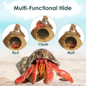 SunGrow Hermit Crab Coconut Hut with Ladder and Bedding, Perfect Mansion for Geckos, Pocket Pets, Small Birds, and Hermit Crabs, 1.5 oz. Bedding Included for Amazing Value