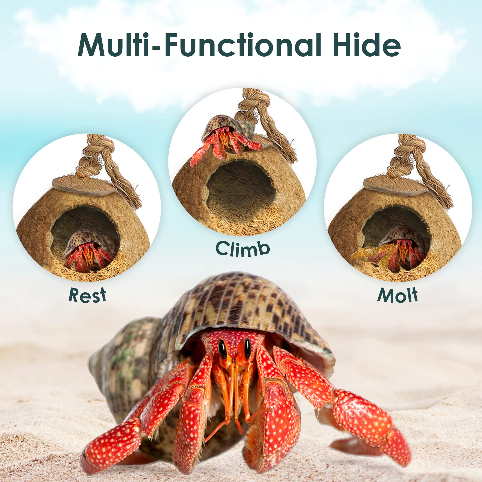 SunGrow Hermit Crab Coconut Hut with Ladder and Bedding, Perfect Mansion for Geckos, Pocket Pets, Small Birds, and Hermit Crabs, 1.5 oz. Bedding Included for Amazing Value