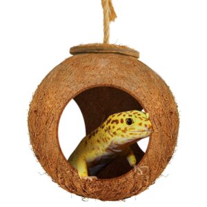 SunGrow Leopard Gecko Coco Hut, Gecko Climbing Accessories, Raw Coconut Shell Reptile Hide, Terrarium Habitat Décor, 2.5” Opening Diameter, with Fiber Loop for Hanging (3-Holes)