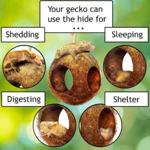 SunGrow Leopard Gecko Coco Hut, Gecko Climbing Accessories, Raw Coconut Shell Reptile Hide, Terrarium Habitat Décor, 2.5” Opening Diameter, with Fiber Loop for Hanging (3-Holes)