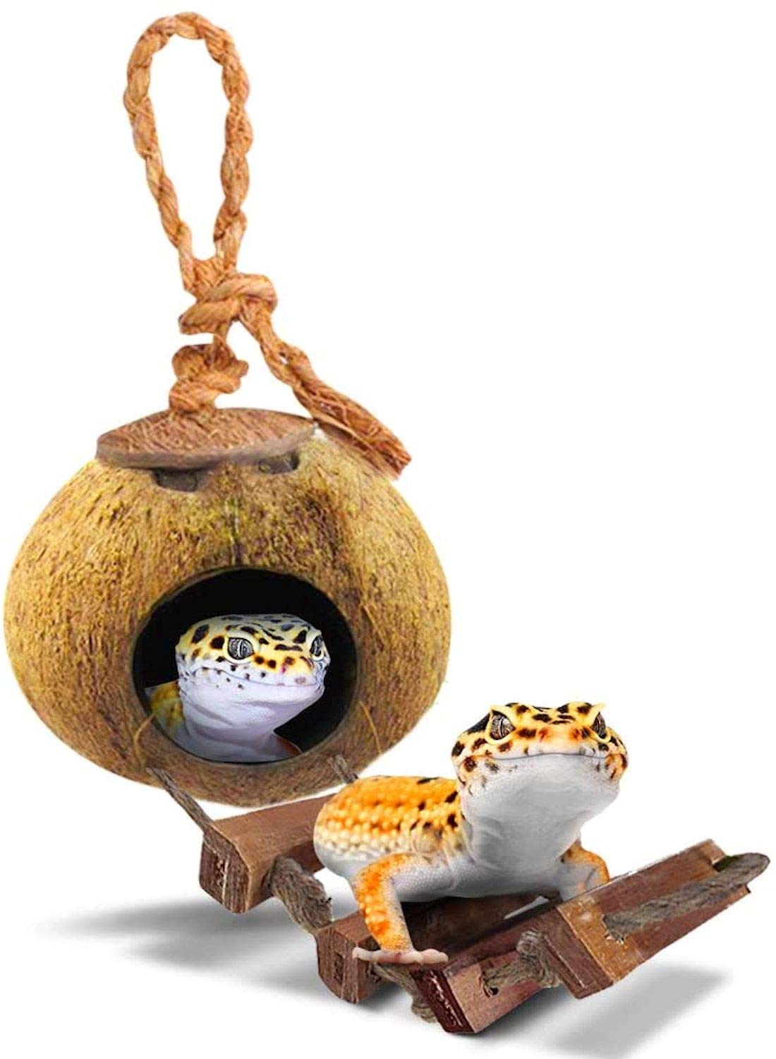 SunGrow Leopard Gecko Coconut Husk Hut with Ladder, with Shell Opening, Cave Habitat with Hanging Loop, 1 Pc per Pack