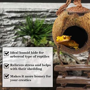 SunGrow Leopard Gecko Coconut Husk Hut with Ladder, with Shell Opening, Cave Habitat with Hanging Loop, 1 Pc per Pack