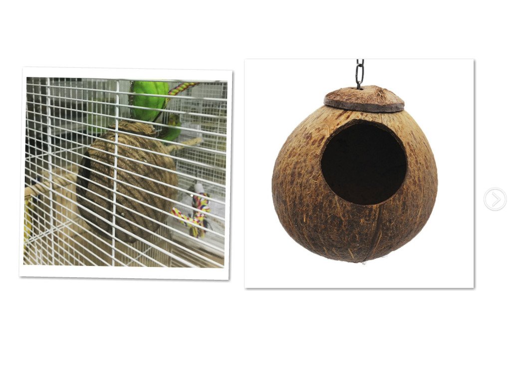 UEETEK Nest for Parakeets Coconut Bird House Bird Nest Coconut Shell Nest Bamboo Small Pet Long Tail