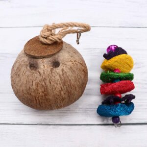 ULTECHNOVO 2pcs Coconut Shell Bird Nest Parakeet Toys for Cage Summer Toys Coconut Bird Toy Bird Toys Hanging Birds with Bells Parrot Shredder Toys Pet The Bird The Bell Wooden