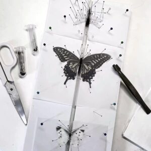 insect pinning board, eva foam board pose insects boards butterfly spreading wings board combined plates, adjustable wide spacing double sided usable insect specimen tools for bugs collection (1 pack)