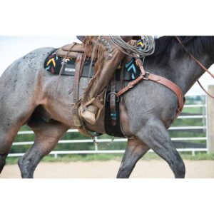 Weaver Leather AirFlex Roper Cinch , Black , 34"