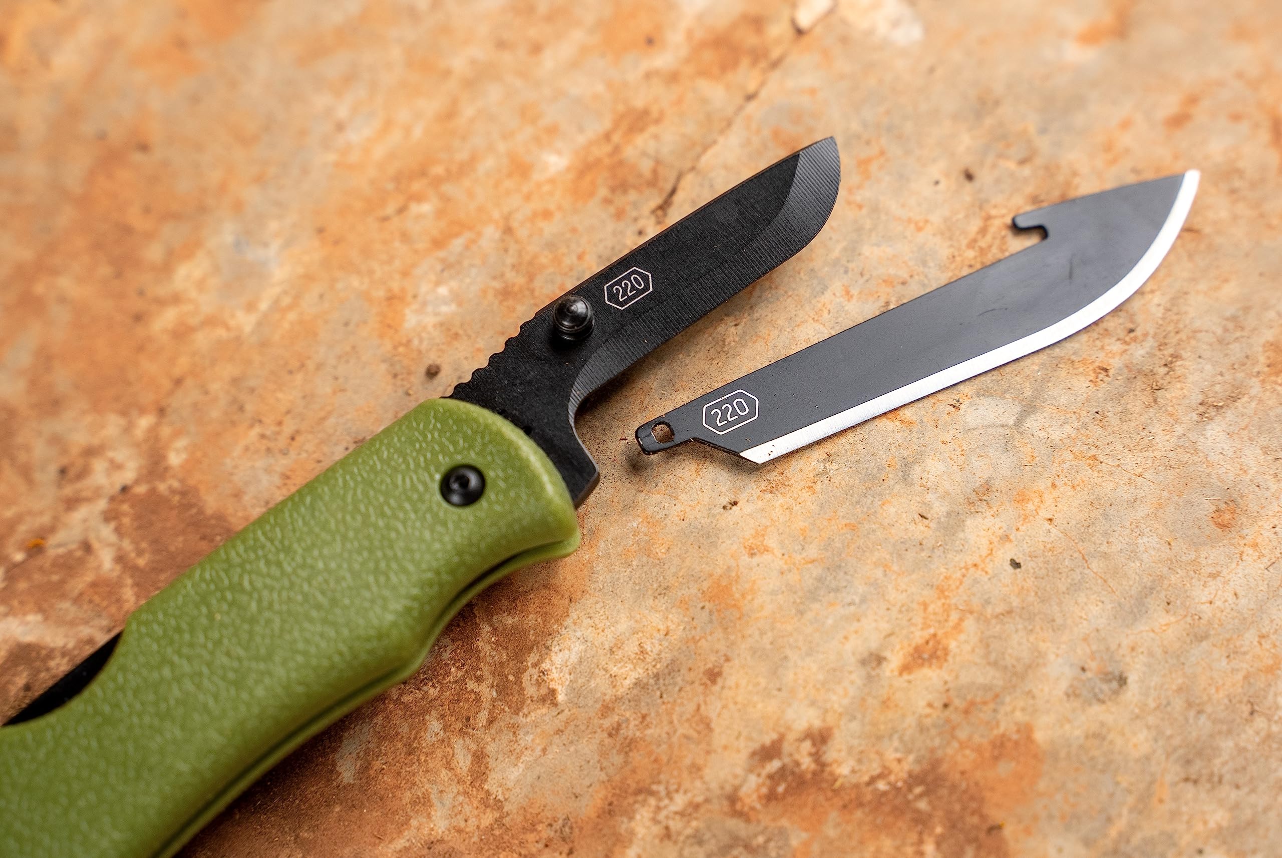 OUTDOOR EDGE Razor Mini Folding Pocket Knife | Compact 2.2" EDC Knife with RazorSafe Replaceable Blades | Perfect Small Everyday Carry Knife for Men Women | Includes 2 Replaceable Drop Point Blades