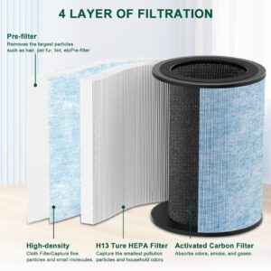 2 Pack for Instant AP300 Filter Replacement, H13 True HEPA Filter, and Activated Carbon Filter, Compatible with Instant AP300, Compare to F300 Filter