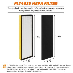 Blutoget FLT4825 Replacement Filter B Replaces AC4825 AC4825E AC4825DLX(Pack of 2 x HEPA Filters + 2 x Carbon Pre-Filters)