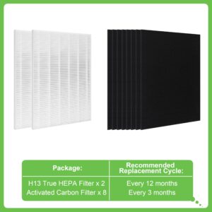 Hichoryer D480 True HEPA Replacement Filter D4, Compatible with Winix D480 Air Purifier, Compare to Winix D4 Filter, Item Number 1712-0100-00, 2 H13 True HEPA Filter & 8 Activated Carbon Filters