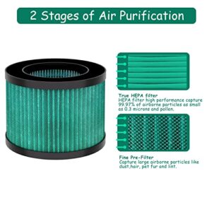 Asheviller MK01 MK06 Replacement Filter, Compatible with AROEVE MK01 MK06 and Kloudi DH-JH01, Intelabe EPI080/EP1080& Elechomes EPI081/EP1081 Air Purifier, Pet Dander Version, 2Pack (MK01 Green)