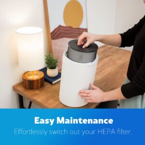 Kenmore KF170 H13 Efficient HEPA Replacement Air Purifier Filter