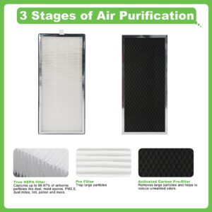 Hichoryer 40 Replacement Filter, Compatible with 40 Air Purifier, Compare to Part #ME40, True HEPA H13 Grade and Activated Carbon 3 in 1 Filter, 2 Pack