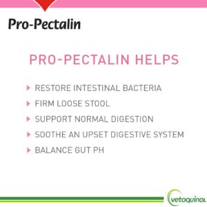 Vetoquinol Pro-Pectalin Oral Paste for Dogs & Cats – Chicken Flavor – Helps Reduce Occasional Loose Stool & Diarrhea, Balance Gut pH, Support Normal Digestion & Intestinal Flora