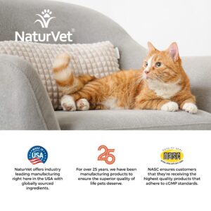 NaturVet Scoopables Cat Digestive Support - Digestive Enzymes for Cats with Probiotic - Supports Diet Change, Sensitive Stomachs & Healthy Digestive Tract - Salmon Flavored | 5.5oz Bag