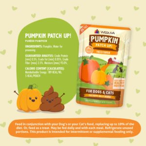 Weruva Pumpkin Patch Up! Pumpkin Puree Pet Food Supplement for Dogs & Cats, 1.05oz Pouch (Pack of 12)