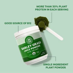 Vimergy Barley Grass Juice Powder – Clean Superfood Formula – Promotes Cardiovascular Health* – Organic, Vegan & Gluten-Free – Regular Size 250g