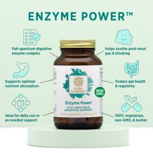 PURE SYNERGY Enzyme Power | Digestive Enzyme Supplement | Digestive Health Enzymes with Nattokinase, Bromelain, and Serrapeptase | for Digestive and Gut Health (90 Capsules)