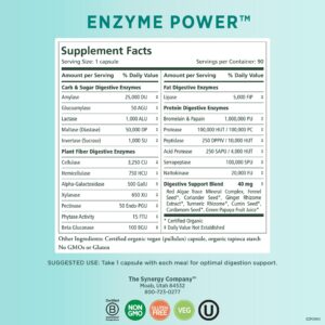 PURE SYNERGY Enzyme Power | Digestive Enzyme Supplement | Digestive Health Enzymes with Nattokinase, Bromelain, and Serrapeptase | for Digestive and Gut Health (90 Capsules)