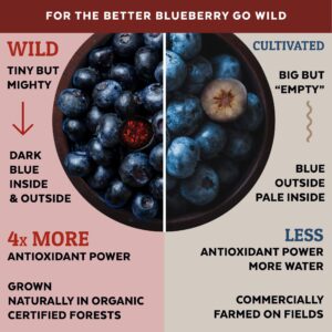 Numami Wild Blueberry Powder Organic, for Smoothies, Baking and Flavoring, Rich in Antioxydants and Vitamin C, Organic Blueberries are Handpicked from Nordic Forests Freeze Dried (4.4 Ounce)