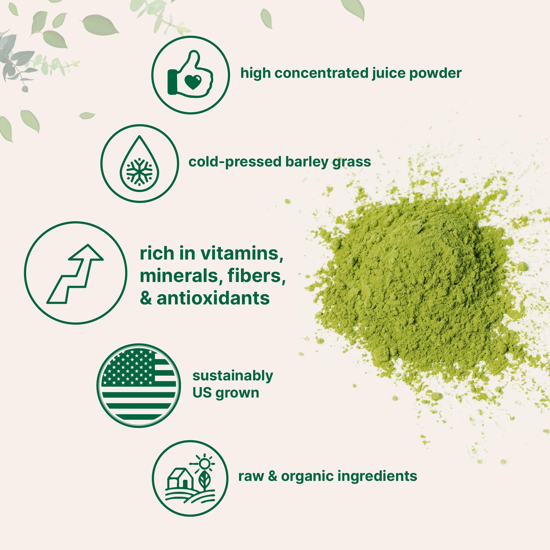 Micro Ingredients Organic Barley Grass Juice Powder, 10 Ounce, Cold Pressed, US Grown, Rich in Immune Vitamin, Fibers, Minerals, Antioxidants and Protein, Support Immune System and Digestion, Vegan