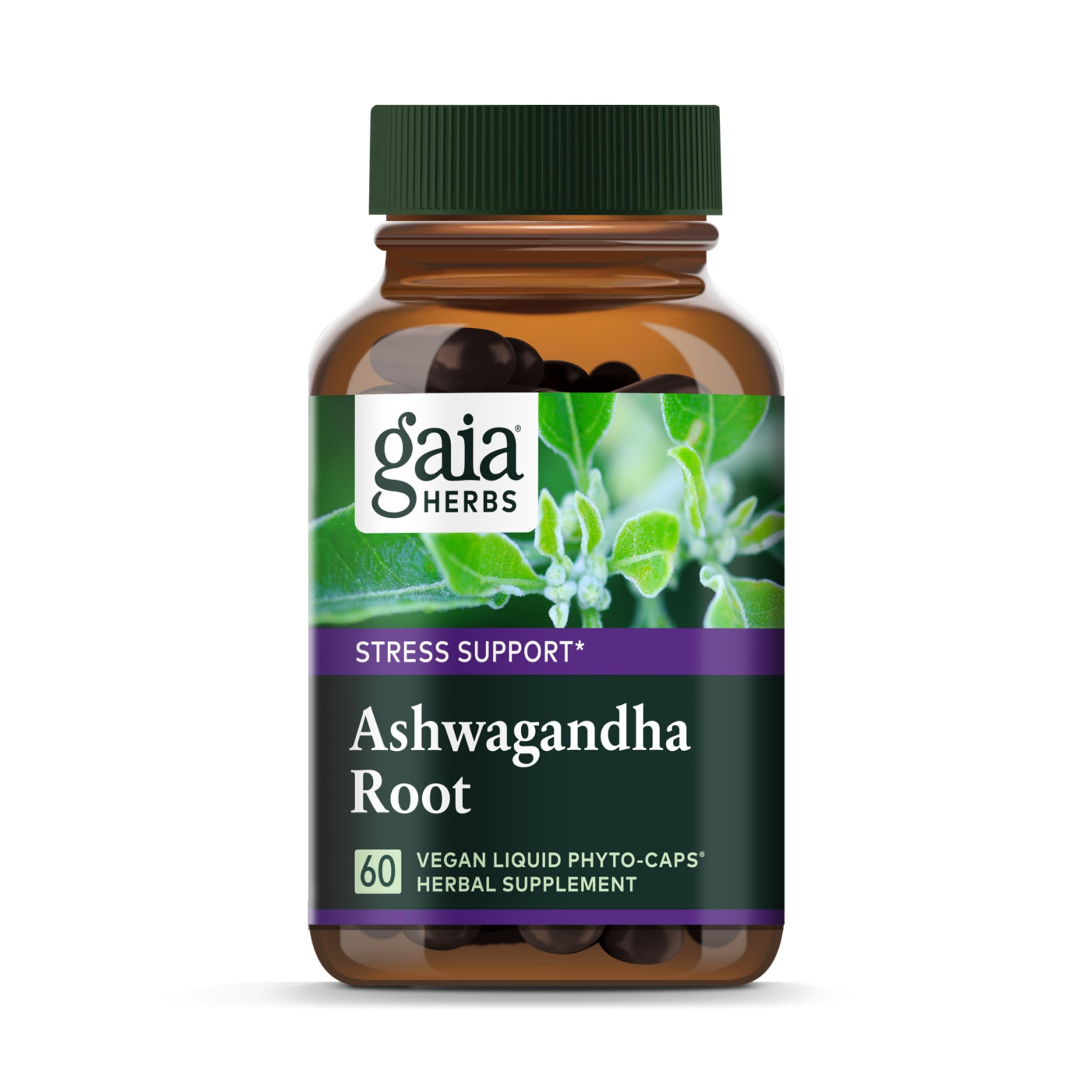 Gaia Herbs, Ashwagandha Root Vegan Liquid Phyto Capsules - Stress Relief, Immune Support Supplement, Balanced Energy Levels and Mood, 60-Count (Pack of 1)