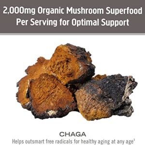 Om Mushroom Superfood Chaga Organic Mushroom Powder, 3.5 Ounce, 50 Servings, US Grown, Sacred Antioxidants & Immune Support, Superfood Mushroom Supplement