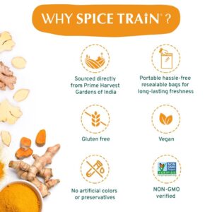 SPICE TRAIN, Ginger Powder (14oz/397g) No Additives, No Preservatives, No Fillers | Ginger Root Powder from India | Raw, Gluten Free, Non GMO | Perfect for Cooking, Baking | Resealable Zip Lock Pouch