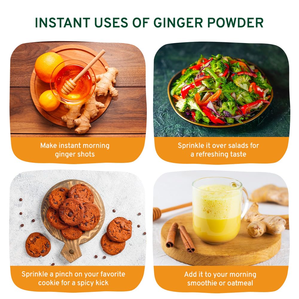 SPICE TRAIN, Ginger Powder (14oz/397g) No Additives, No Preservatives, No Fillers | Ginger Root Powder from India | Raw, Gluten Free, Non GMO | Perfect for Cooking, Baking | Resealable Zip Lock Pouch