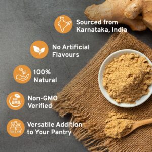 SPICE TRAIN, Ginger Powder (14oz/397g) No Additives, No Preservatives, No Fillers | Ginger Root Powder from India | Raw, Gluten Free, Non GMO | Perfect for Cooking, Baking | Resealable Zip Lock Pouch