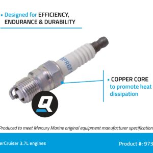 Quicksilver 97389 NGK BPR6FS Standard Spark Plug, 1-Pack