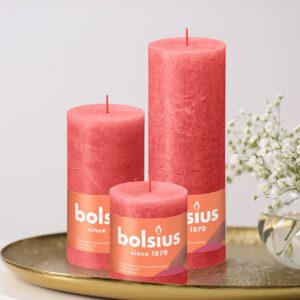 BOLSIUS 4 Pack Blossom Pink Rustic Pillar Candles - 2.75 X 5 Inches - Premium European Quality - includes Natural Plant-Based Wax - Unscented Dripless Smokeless 60 Hour Party Décor Candles