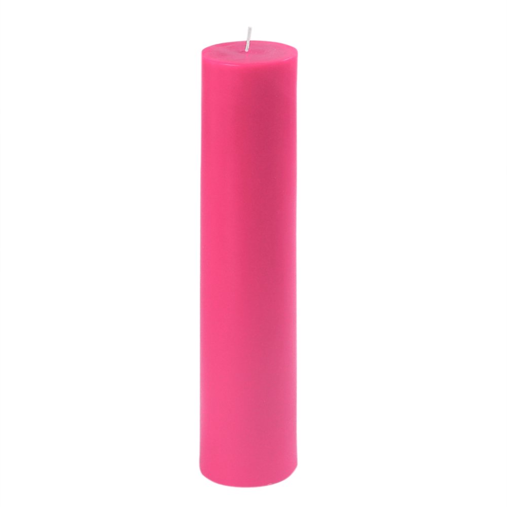 Zest Candle CPZ-2913_12 12-Piece Pillar Candle, 2" x 9", Hot Pink