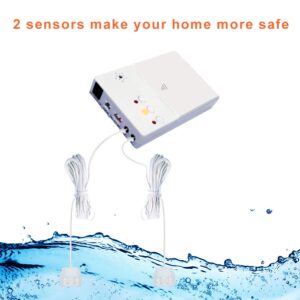 E-SDS Automatic Water Leak Shut off Valve System,Water Leak Detector with 2 Valves,2 Sensors and Sounds Alarm,for Pipes 3/4 NPT,Flood Prevention for Laundry Washing Machines,Water Heaters and More