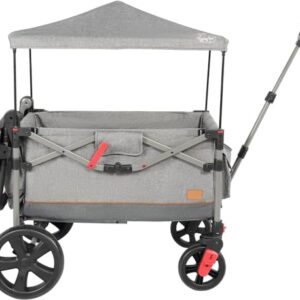 Busy Bee Foldable Wagon Stroller for 2 Kids, Push Pull Collapsible Kids Wagon with Adjustable Handle Bar, Removable Canopy, 5-Point Harness, Shock-Absorbing Wheels, Grey