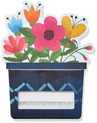 Amazon.com Gift Card in a Flower Pot Reveal