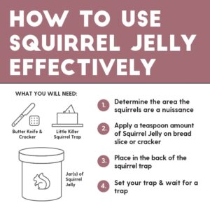 Squirrel Jelly Paste Bait 8 Ounce | Irresistible Sweet Scented & Highly Attractive Lure for Red & Grey Squirrels Chipmunks | Good All Season Long