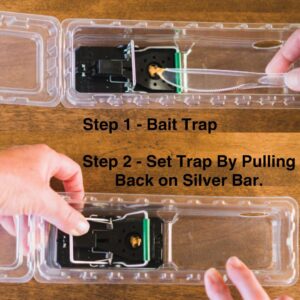 DoomBox™ Green Enclosed Mouse Trap | Keeps The Mess with The Mouse | Patented Click-It™ Closure Technology | Safe for Kids & Pets | Certified Child Resistant | Made in USA (3-Pack Green)