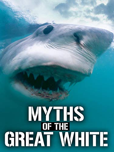 Myths of the Great White Sharks