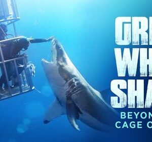 Great White Shark: Beyond the Cage of Fear