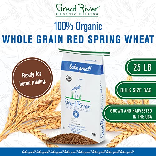 Great River Organic Milling, Whole Grain, Hard Red Spring Wheat, Organic, 25-Pounds (Pack of 1)