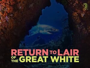 return to lair of the great white