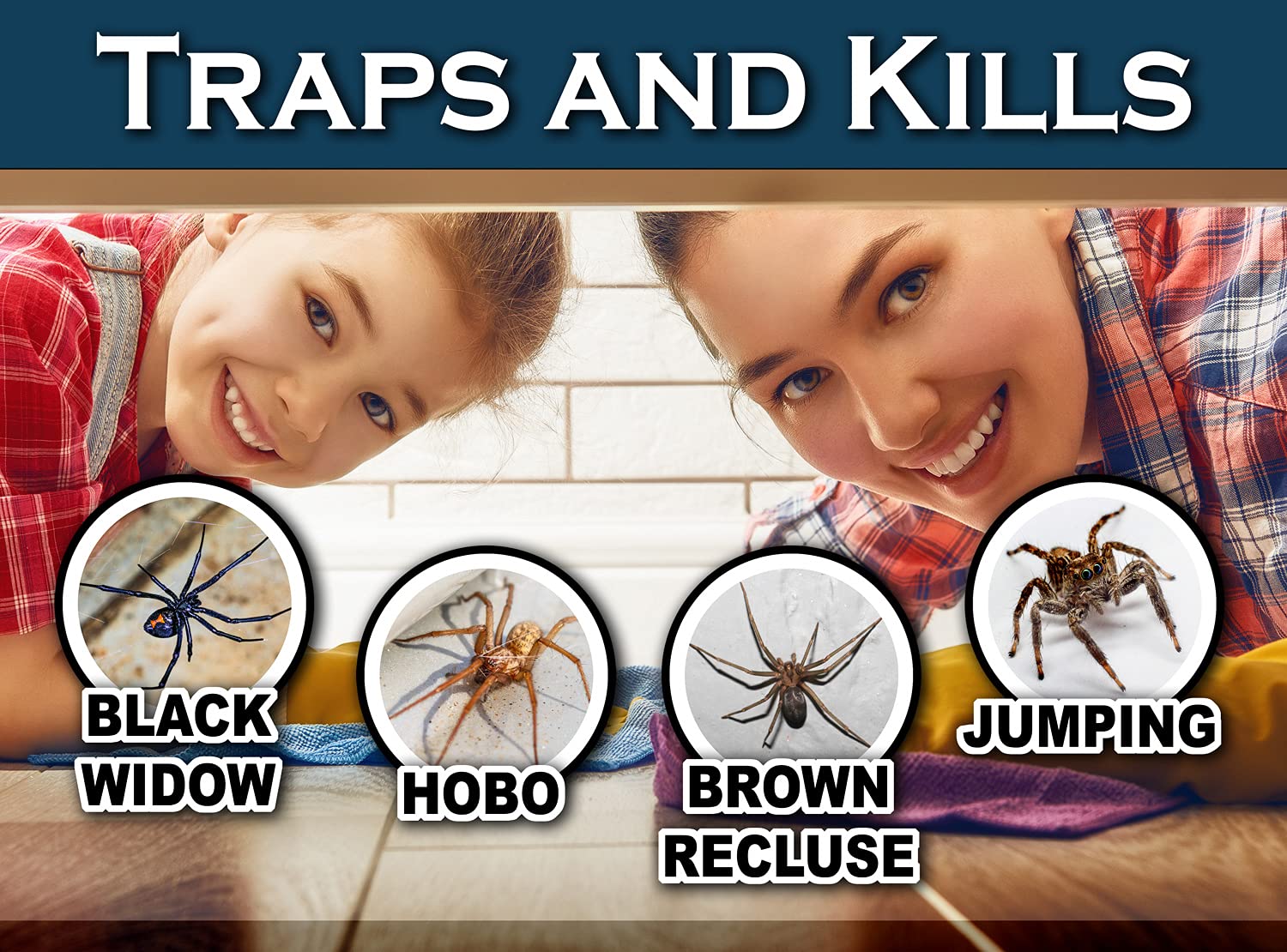 MaxGuard Mini Spider + Insect Traps (24 pcs Box Trap) | Non-Toxic Extra Sticky Glue Traps | Trap and Kill Hobo Spiders, Black Widow Spiders, Brown Recluse Spiders and Crawling Bugs |