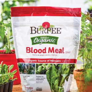 Burpee Organic Blood Meal Fertilizer | Add to Potting Soil | Excellent Natural Source of Nitrogen | for Tomatoes, Spinach, Broccoli, Leafy Greens | 3 lb, 1-Pack