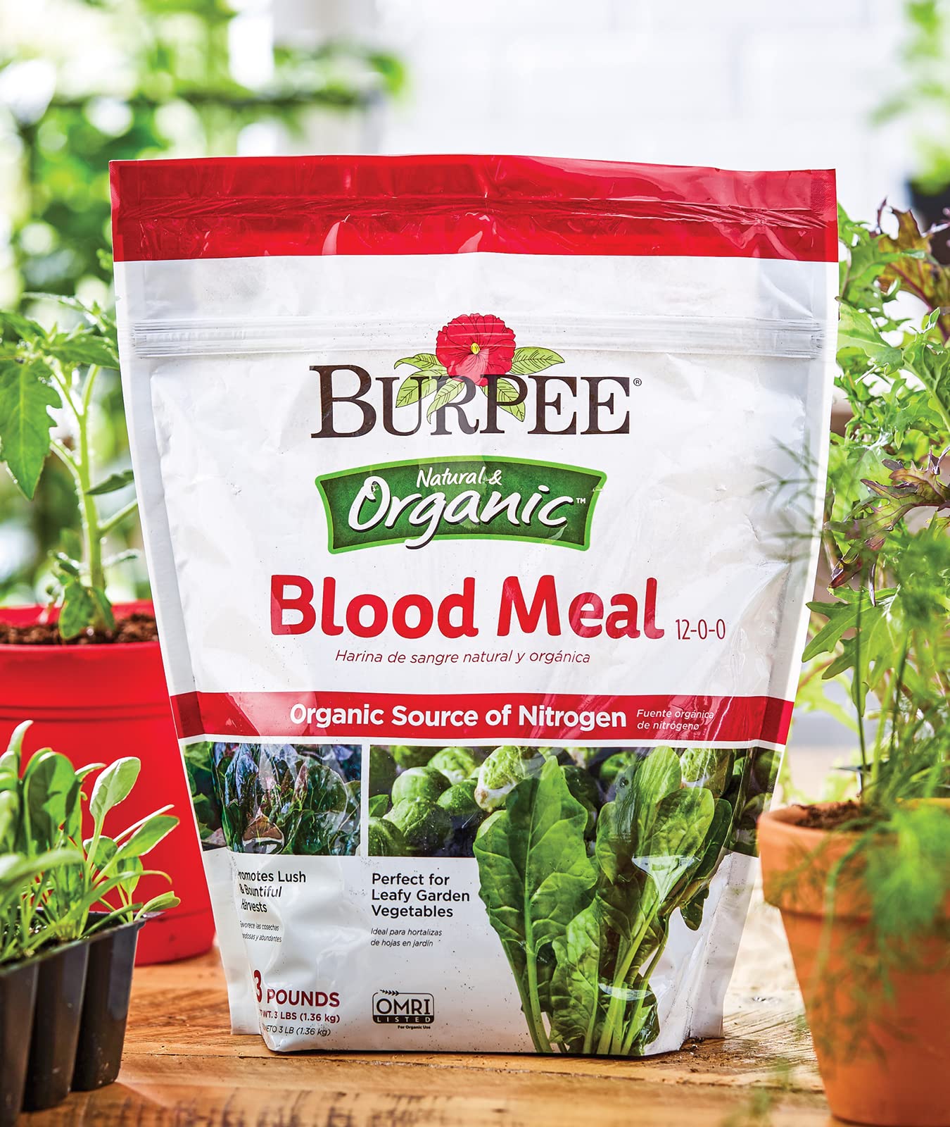 Burpee Organic Blood Meal Fertilizer | Add to Potting Soil | Excellent Natural Source of Nitrogen | for Tomatoes, Spinach, Broccoli, Leafy Greens | 3 lb, 1-Pack