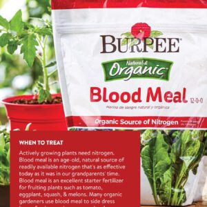 Burpee Organic Blood Meal Fertilizer | Add to Potting Soil | Excellent Natural Source of Nitrogen | for Tomatoes, Spinach, Broccoli, Leafy Greens | 3 lb, 1-Pack