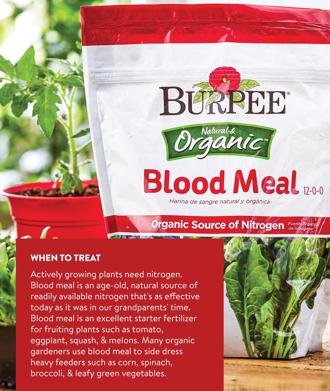 Burpee Organic Blood Meal Fertilizer | Add to Potting Soil | Excellent Natural Source of Nitrogen | for Tomatoes, Spinach, Broccoli, Leafy Greens | 3 lb, 1-Pack