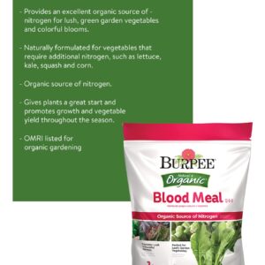 Burpee Organic Blood Meal Fertilizer | Add to Potting Soil | Excellent Natural Source of Nitrogen | for Tomatoes, Spinach, Broccoli, Leafy Greens | 3 lb, 1-Pack